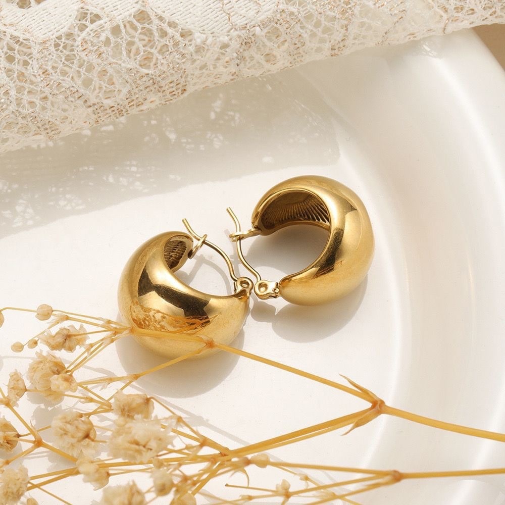Dolphin 2 Earrings Giftaecologist