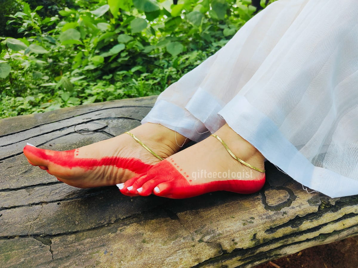 ১ জোড়া পায়েল - সাথে বক্স ফ্রী