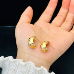 Dolphin Earrings Giftaecologist