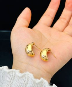 Dolphin Earrings Giftaecologist