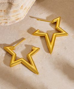 Star 2 Earrings Giftaecologist